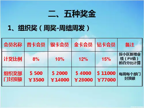 三生奖金制度ppt课件