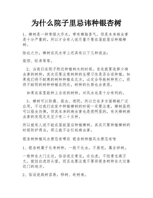 为什么院子里忌讳种银杏树