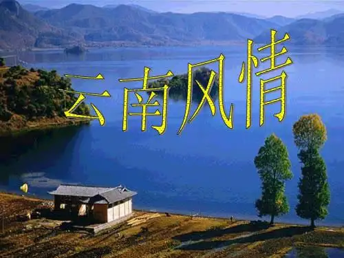 《云南的歌会》优秀ppt