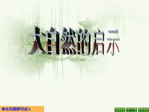 四年级语文下册课件--大自然的启示