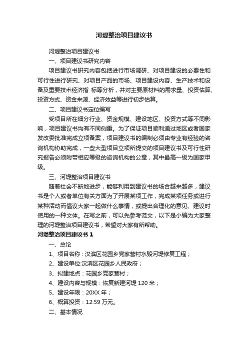 河堤整治项目建议书