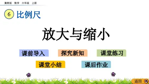 冀教版六年级数学课件：6.1 放大与缩小