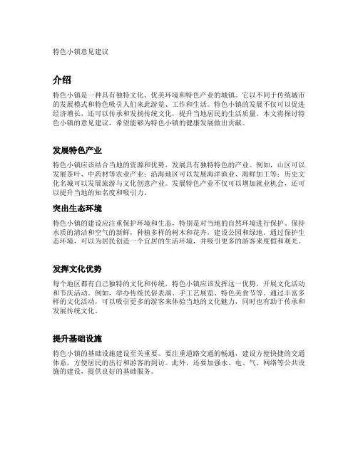 特色小镇意见建议