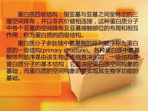 大学生物化学课件 蛋白质结构