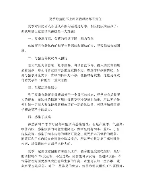 夏季母猪配不上种公猪母猪都有责任