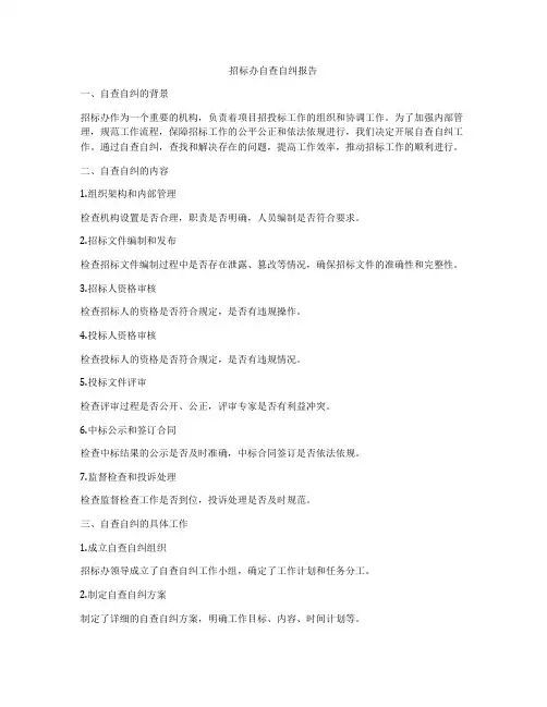 招标办自查自纠报告