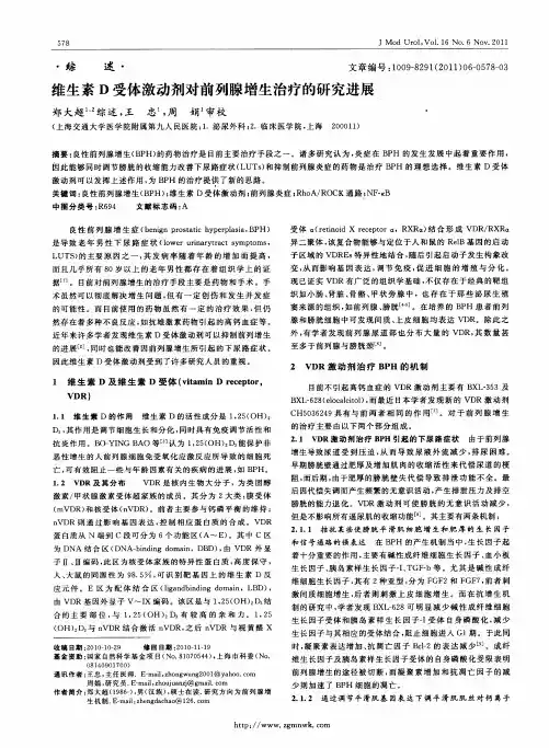 维生素D受体激动剂对前列腺增生治疗的研究进展