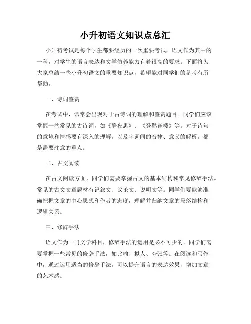 小升初语文知识点总汇