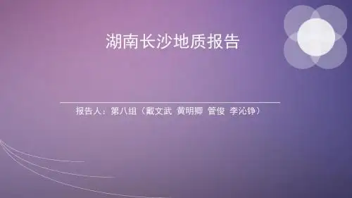 湖南长沙地质报告