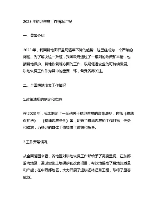 2023年耕地恢复工作 情况汇报