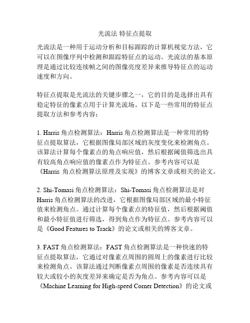 光流法 特征点提取
