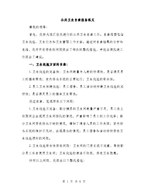 公共卫生自查报告范文（二篇）