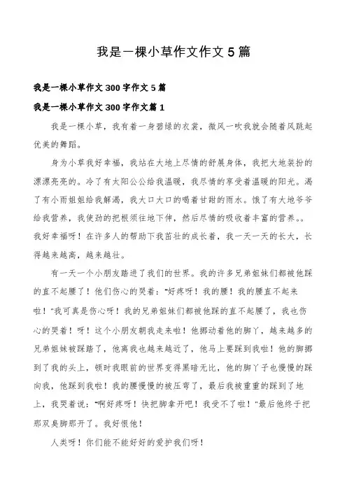 我是一棵小草作文作文5篇