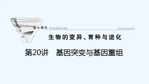 2022届高考生物一轮复习第七单元生物的变异育种与进化第20讲基因突变与基因重组课件苏教版