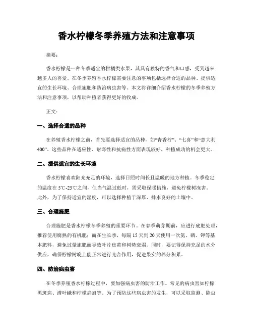 香水柠檬冬季养殖方法和注意事项