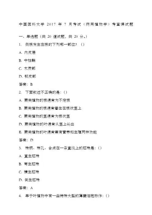 中国医科大学年新月考试《药用植物学》考查课试题标准答案改