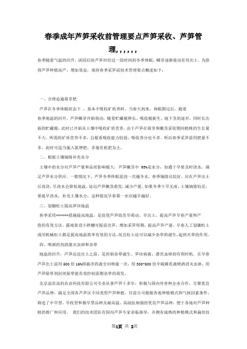 春季成年芦笋采收前管理要点芦笋采收芦笋管理,,,,,,