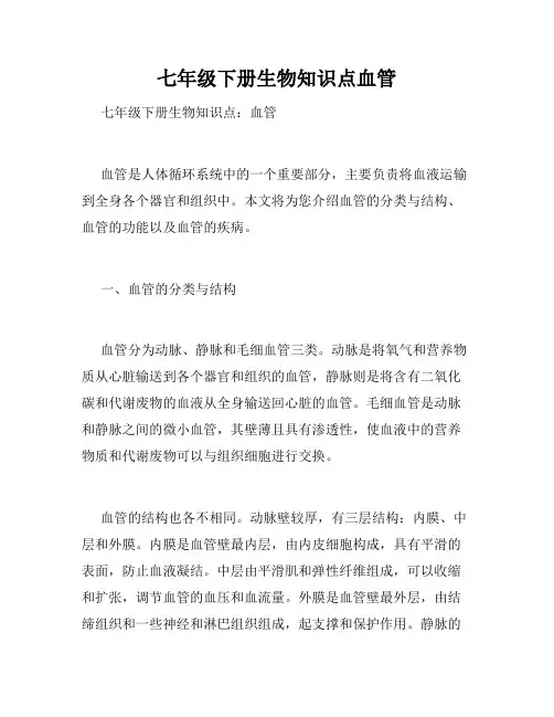 七年级下册生物知识点血管