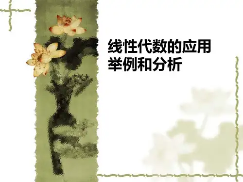 线性代数的应用举例和分析