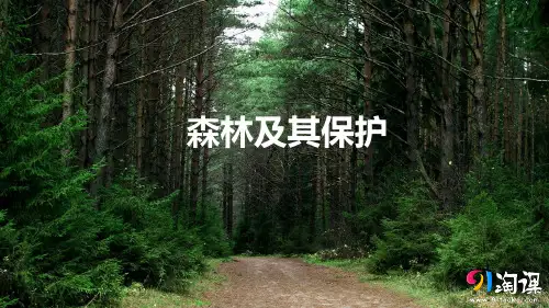 课件7：4.1 森林及其保护
