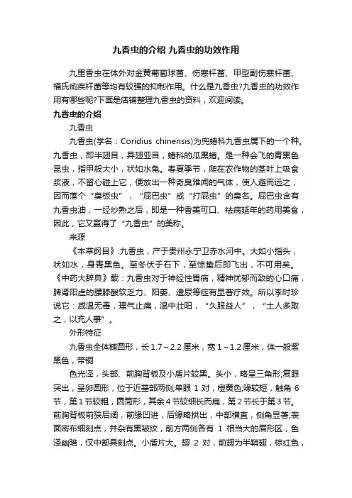 九香虫的介绍九香虫的功效作用