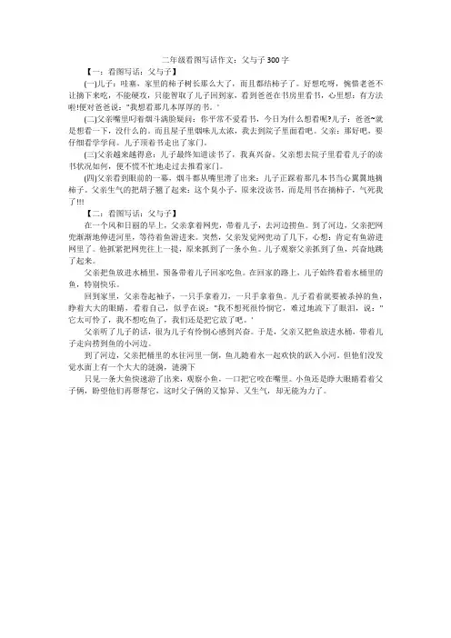 二年级看图写话作文：父与子300字