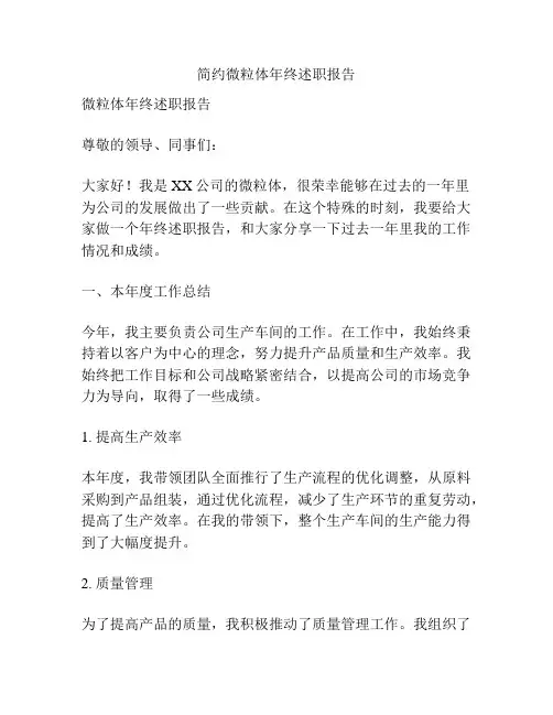 简约微粒体年终述职报告
