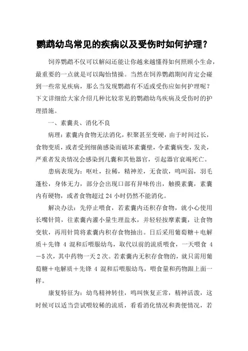 鹦鹉幼鸟常见的疾病以及受伤时如何护理？