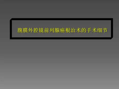 腹腔镜前列腺癌根治术的手术细节【26页】