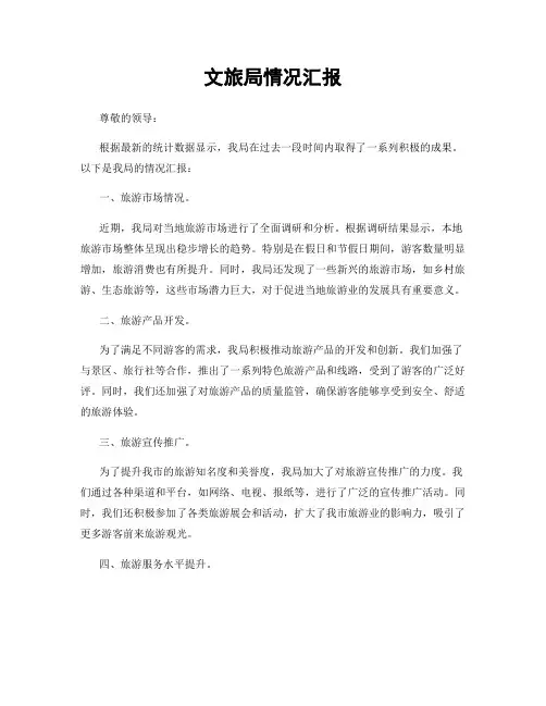 文旅局情况汇报