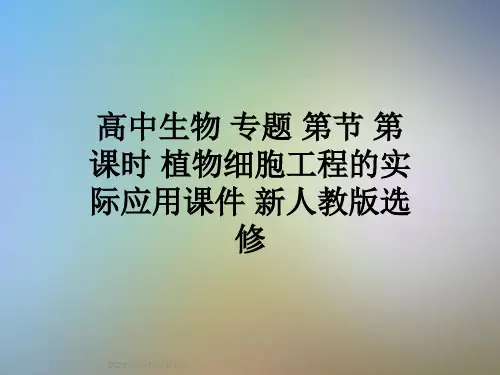 高中生物-专题-第节-第课时-植物细胞工程的实际应用课件-新人教版选修