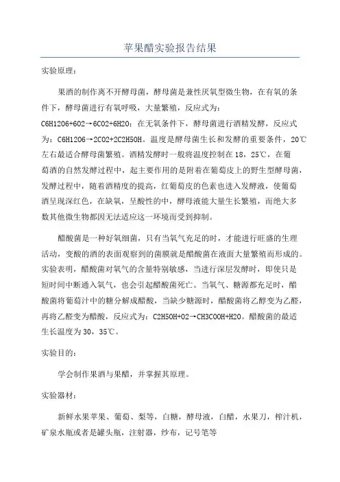 苹果醋实验报告结果