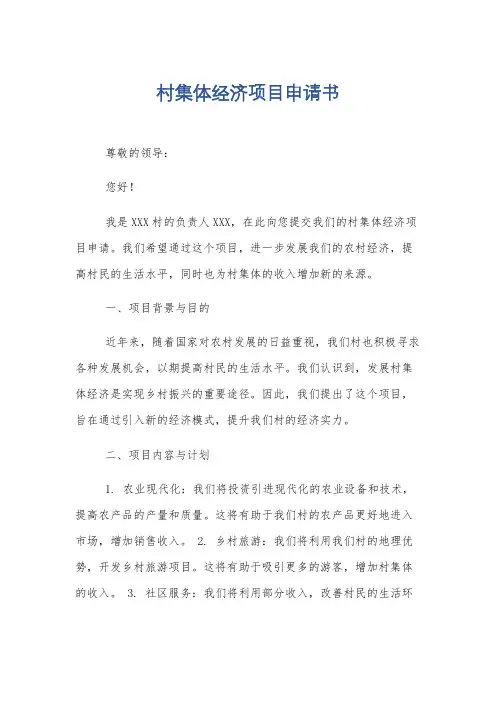 村集体经济项目申请书