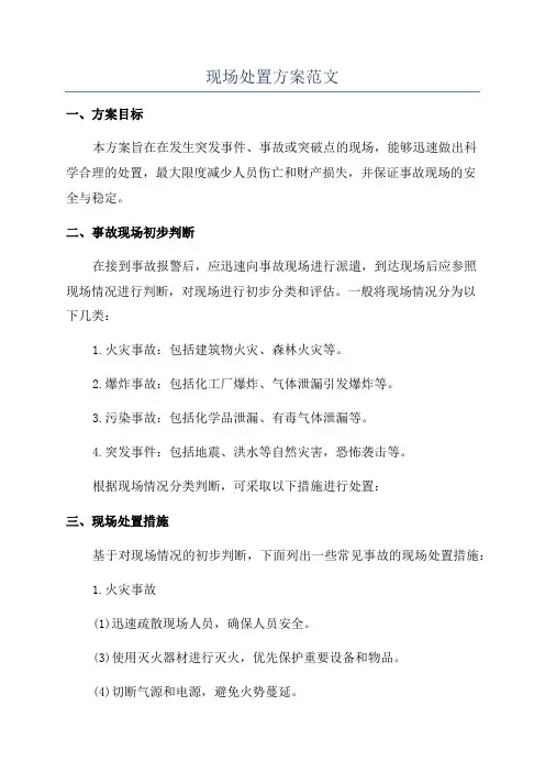 现场处置方案范文