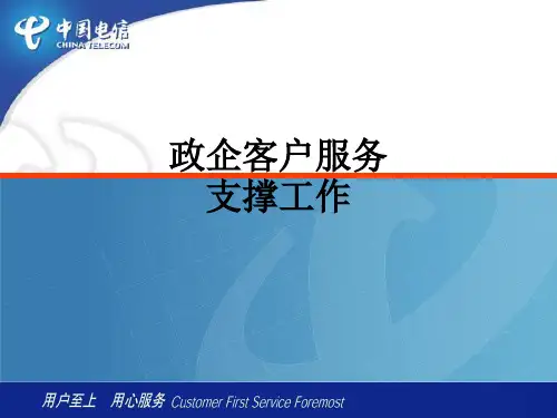 政企客户服务支撑工作PPT课件