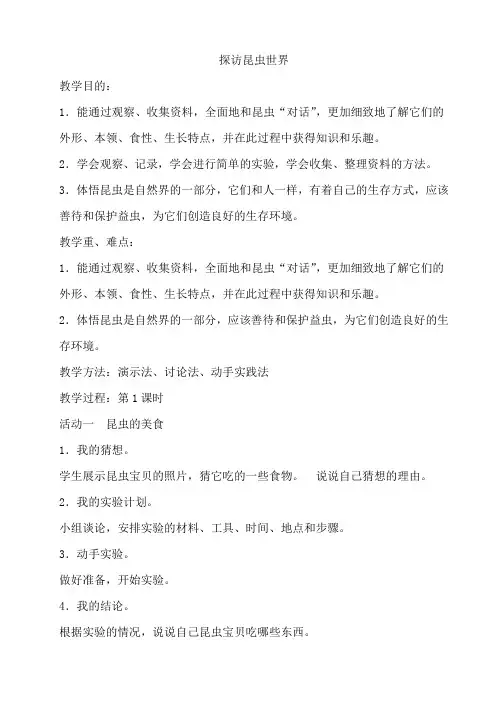 探访昆虫世界