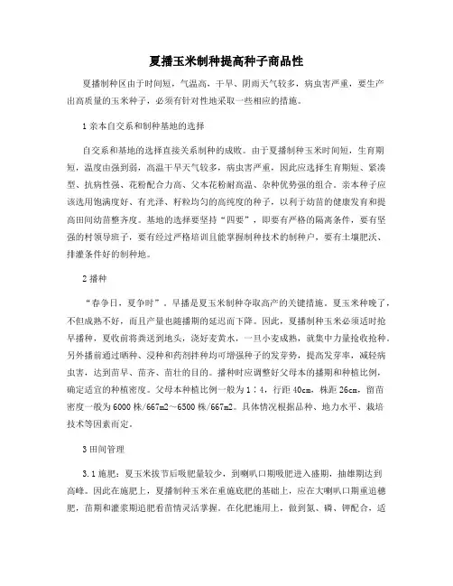 夏播玉米制种提高种子商品性