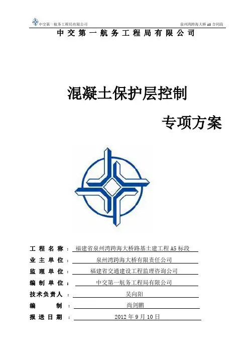 A5保护层控制专项方案
