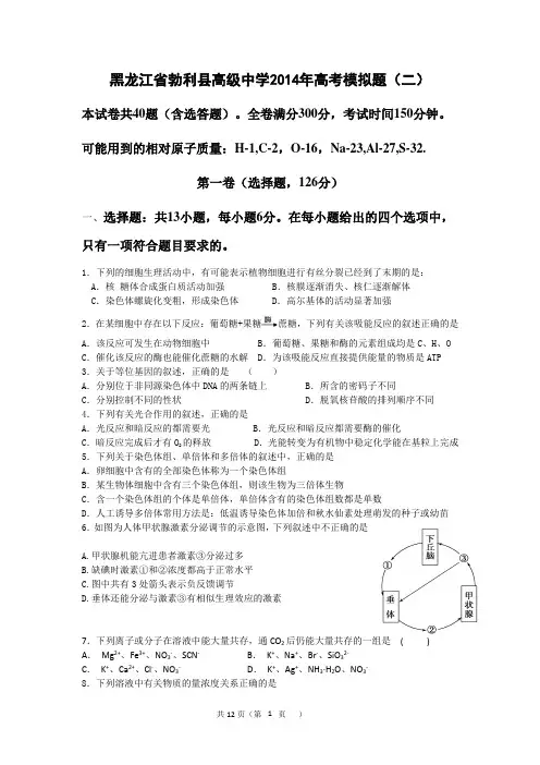 高三12月月月考理科综合卷