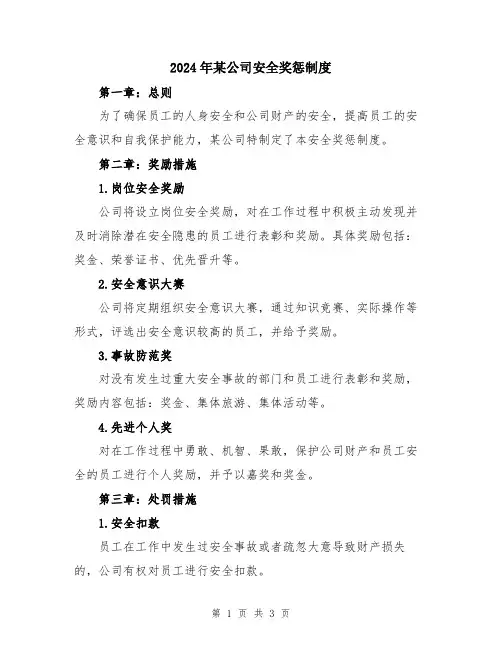 2024年某公司安全奖惩制度