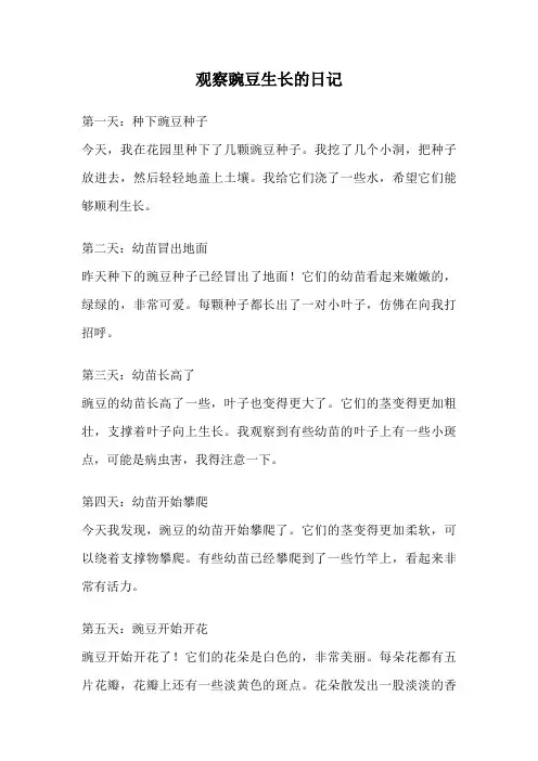 观察豌豆生长的日记