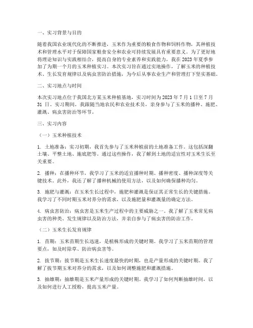 玉米种植实习报告