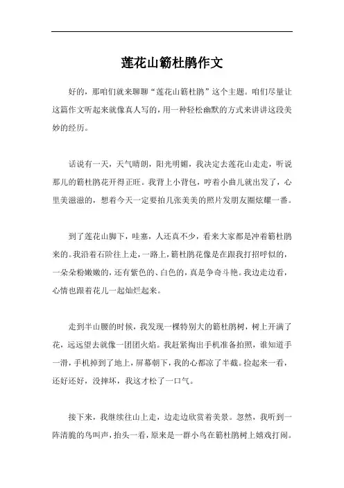 莲花山簕杜鹃作文