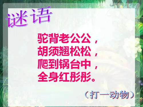 北师大版《小虾》PPT