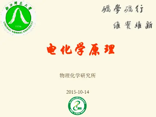 6. 第五章_阴极过程