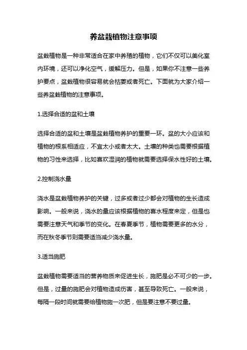 养盆栽植物注意事项