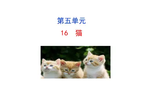 部编版语文七年级上册16猫课件(幻灯片23张)
