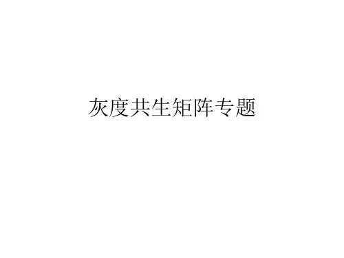 灰度共生矩阵专题(1)
