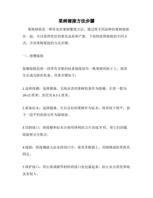 果树嫁接方法步骤