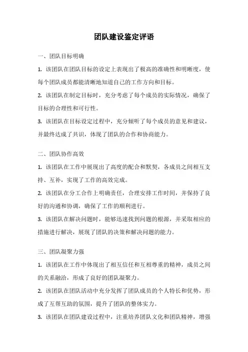 团队建设鉴定评语